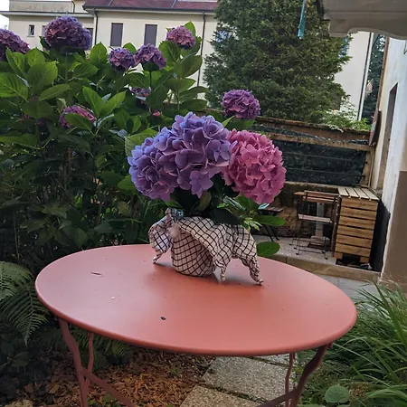 Pallanza Courtyard شقة فيربانيا