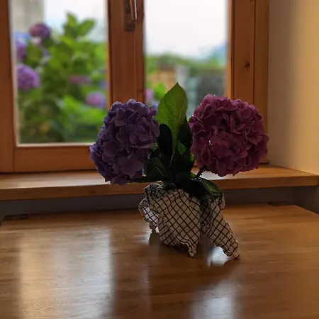 公寓 Pallanza Courtyard 韦尔巴尼亚