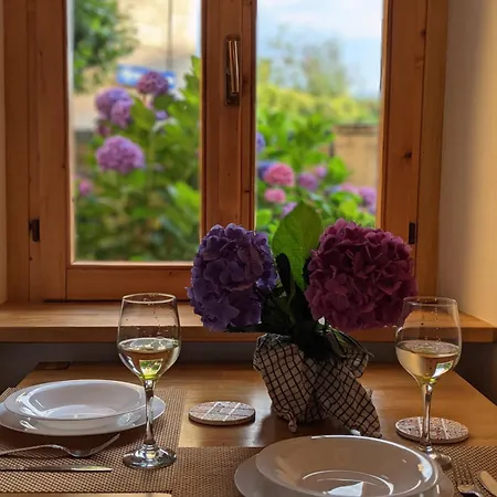 Pallanza Courtyard شقة فيربانيا