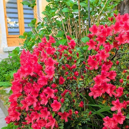 Pallanza Courtyard 公寓